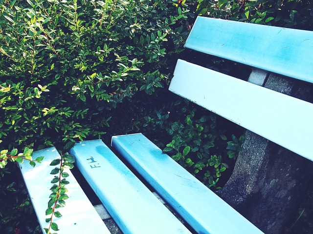 斯图加特主帅：波鸿近期的表现远比他们在积分榜上的排名要强