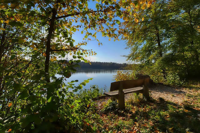 世体：亚马尔接连缺席国家队比赛，下次比赛或与梅西交手